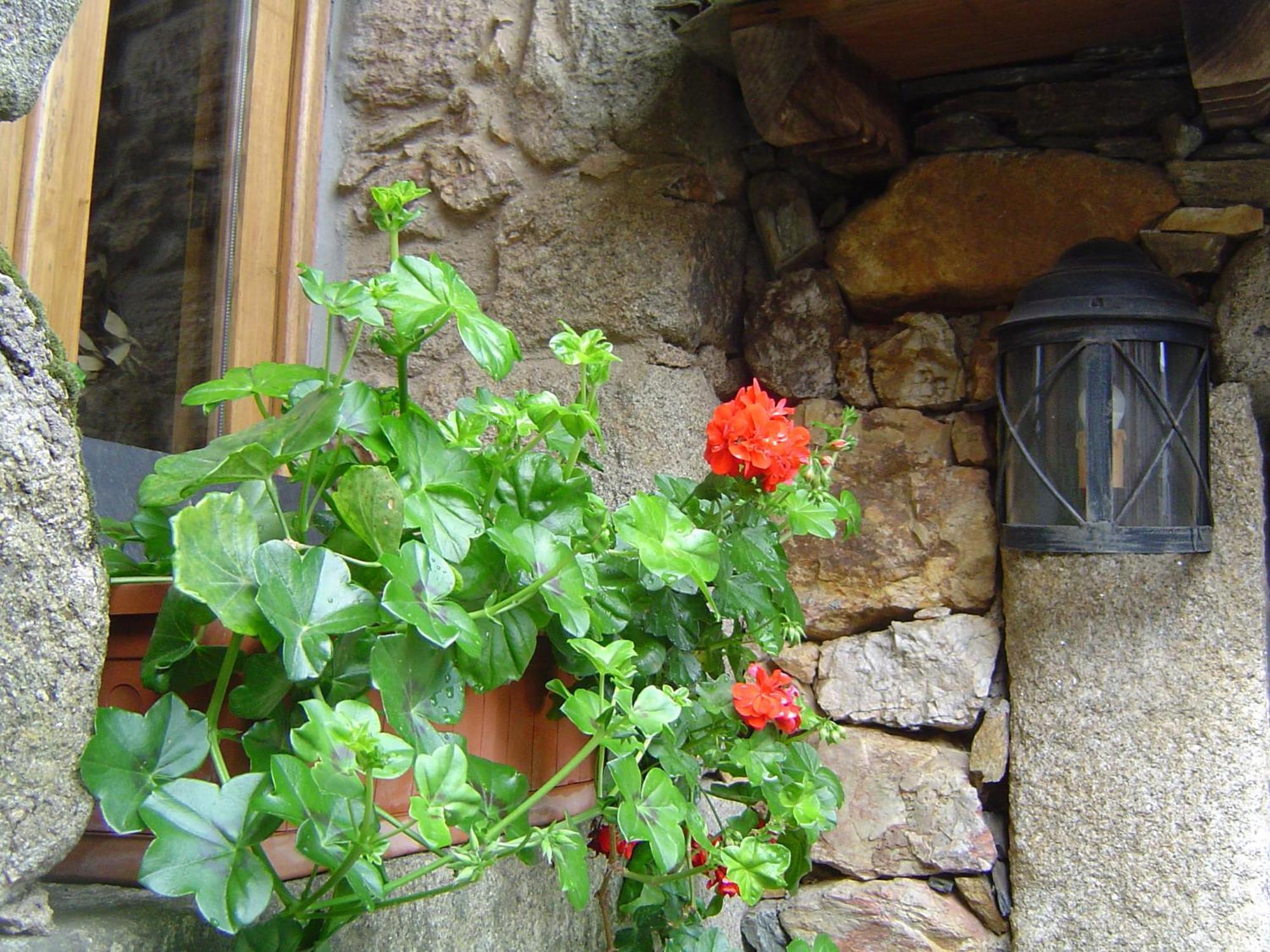 Casa Do Pinto Guest House Arouca Luaran gambar