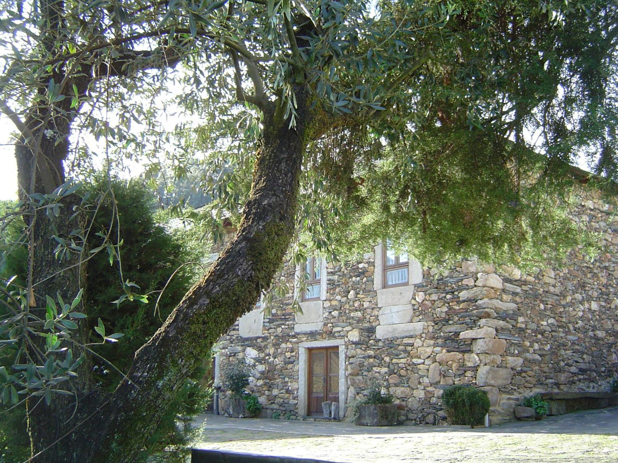 Casa Do Pinto Guest House Arouca Luaran gambar